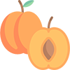 Malatya Apricot