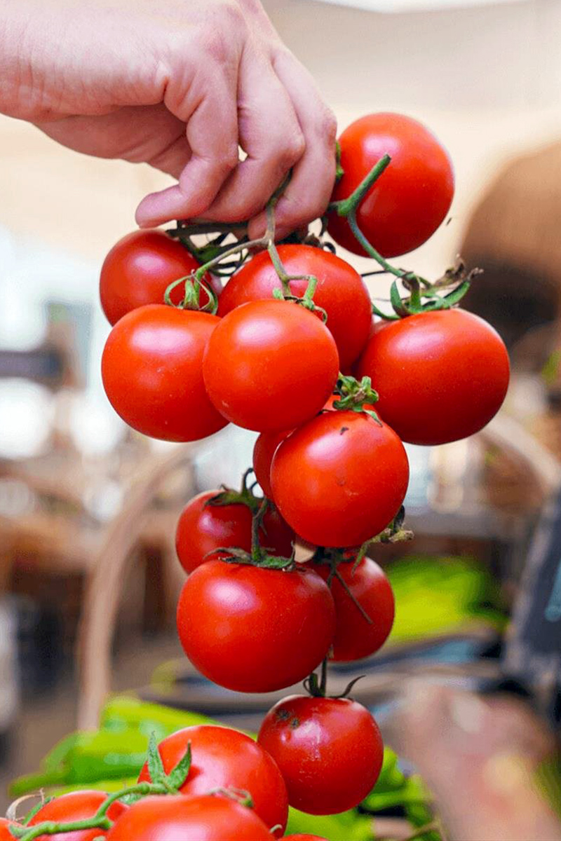 Tomatoes - 4 Tomatoes - 4