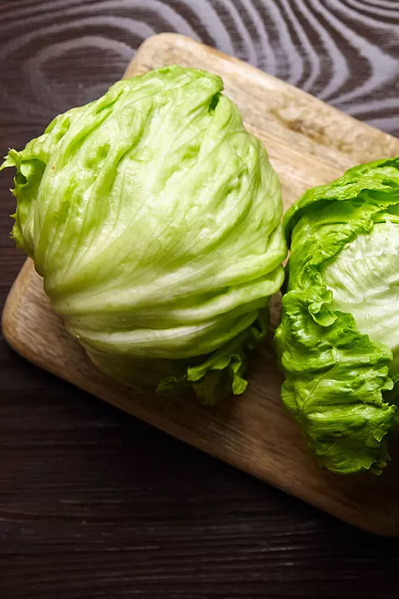 Iceberg Lettuce - 5 Iceberg Lettuce - 5